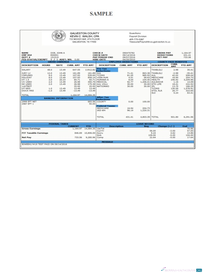 Download Galveston County Payroll Check Stub Photoshop template